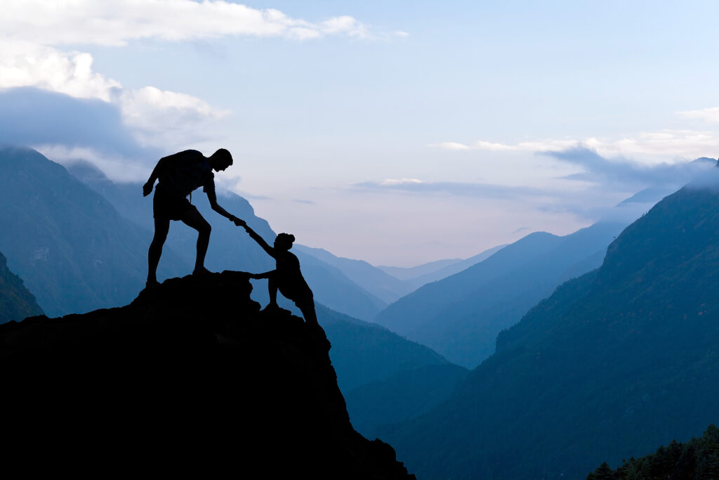Osteopath jobs and physiotherapy jobs at Premier Wellness Auckland — join our collaborative team