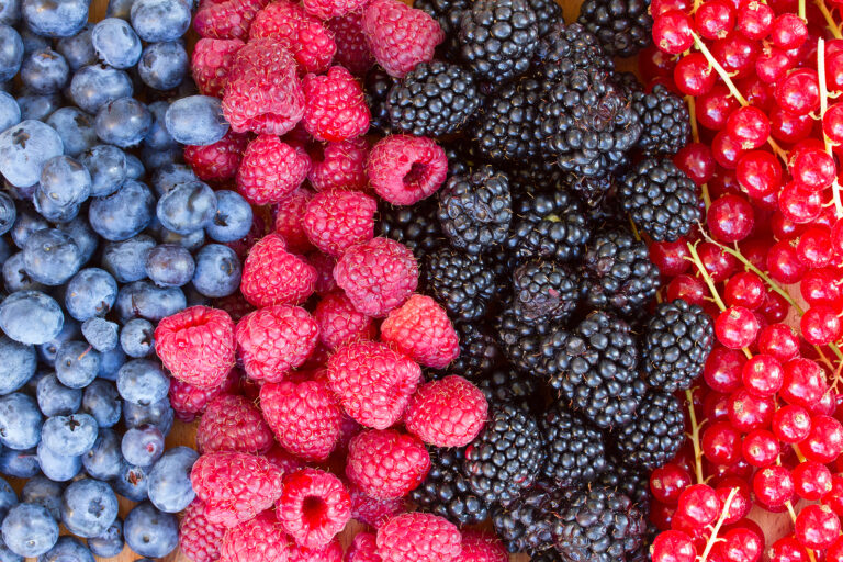 Fresh antioxidant-rich berries supporting the body's detoxification pathways