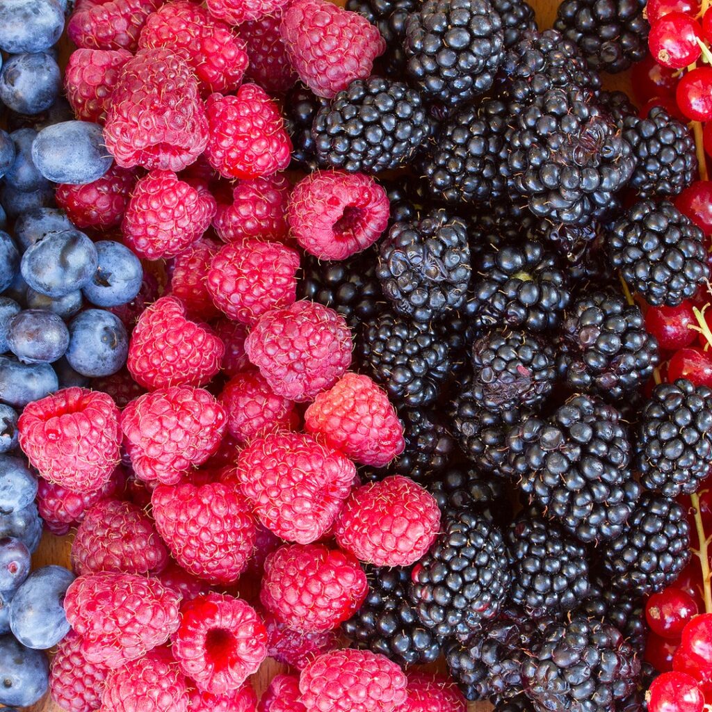 Mixed berries used as a natural base for unsweetened smoothie juice